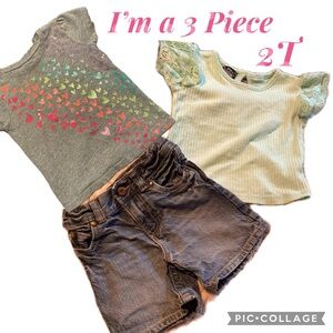 OSHKOSH baby girl 3 Piece Bundle Ruffle sleeve green top w Oshkosh shorts 2T ECU